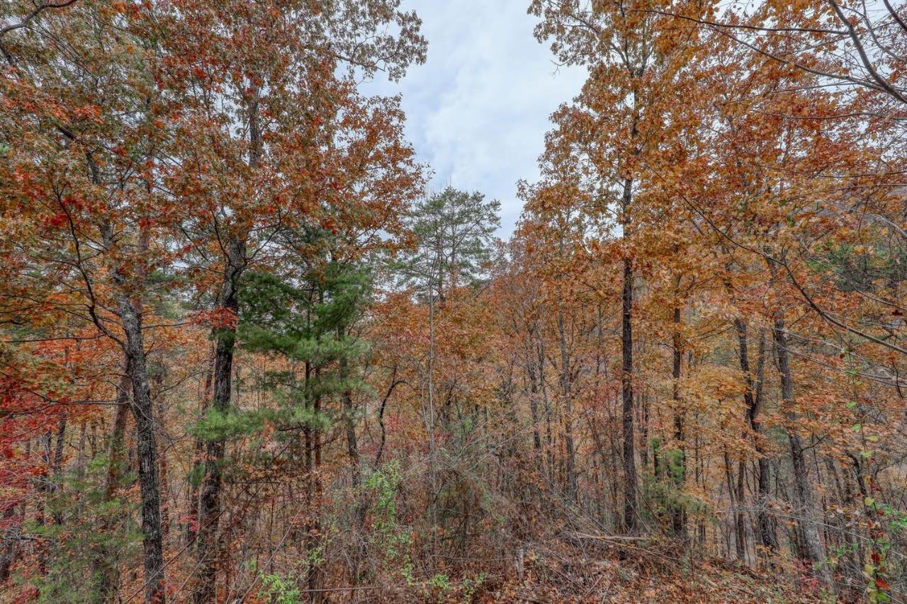 Black Bear Ridge Resort: Valhalla Manor By Dc Sevierville Exterior foto